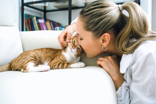 5 Common Mistakes Cat Owners Make