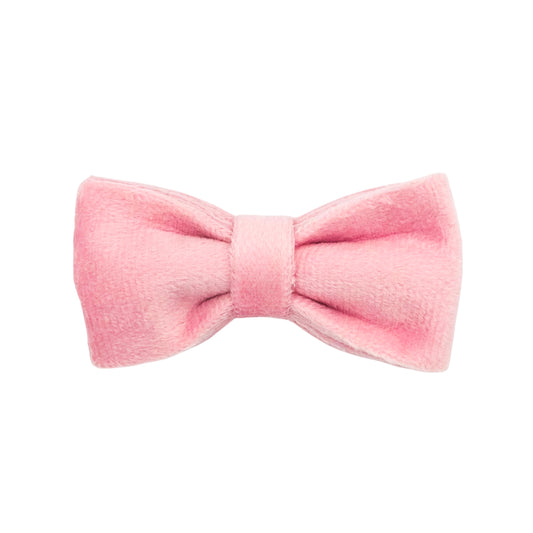 Pink Velvet Cat Bow Tie